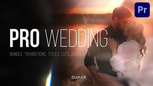 Videohive Pro Wedding Bundle – Transitions, Titles, LUTs, Overlays | Premiere Pro รวมชุด Asset สำหรับ Video Wedding