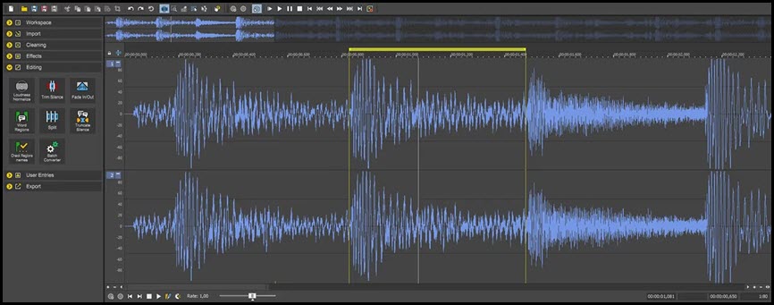 BorisFX Sound Forge Plus 2026 ล่าสุด โปรแกรมตัดต่อเสียง บันทึกเสียง และทำมาสเตอร์ริ่งระดับมืออาชีพ