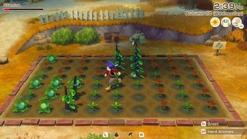 Story of Seasons Grand Bazaar Deluxe Edition [3.64GB][MediaFire] ไฟล์เดียวจบ เกมปลูกผักทำฟาร์มและเปิดตลาดนัดสุดคลาสสิก โปรแกรม