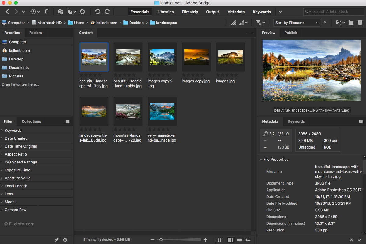 Adobe Bridge CC 2019 (32Bit/64Bit) Full โปรแกรมจัดระเบียบไฟล์มัลติมีเดีย