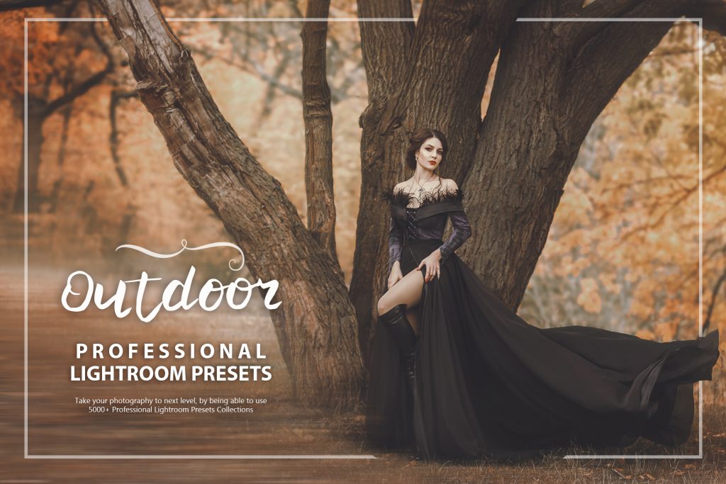 3000พร้อม Professional Lightroom Presets ชุดรวม Presets สำหรับ Lightroom ฟรี โปรแกรม