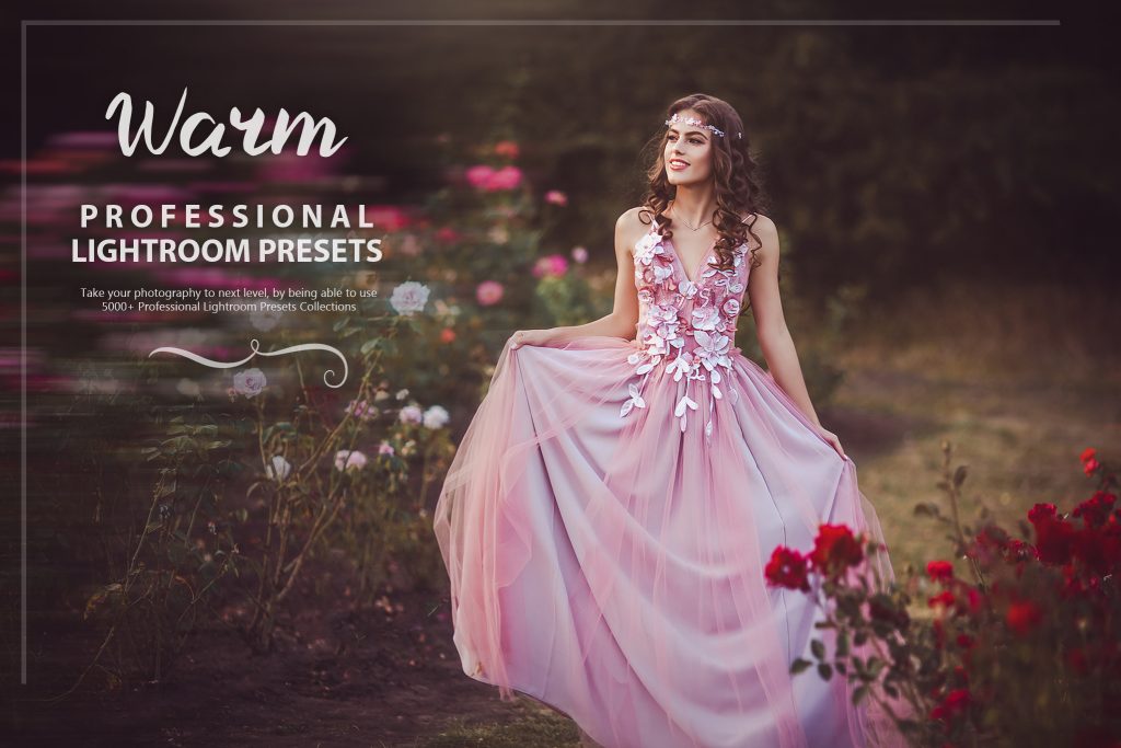 3000พร้อม Professional Lightroom Presets ชุดรวม Presets สำหรับ Lightroom ฟรี โปรแกรม