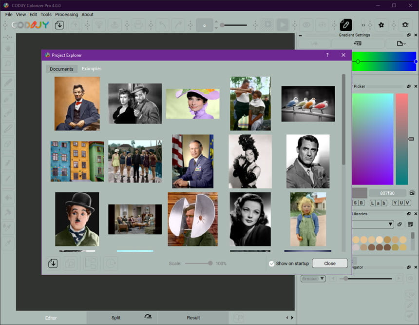 CODIJY Colorizer Pro 4 ล่าสุด โปรแกรมปรับสีภาพถ่าย แปลงภาพขาวดำเป็นภาพสี ฟรี