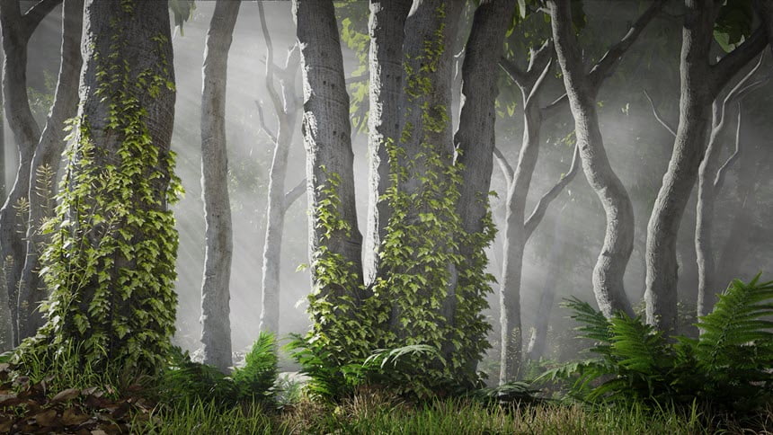 BLENDER MARKET – BOTANIQ 6.8 คลังต้นไม้ ใบหญ้า สำหรับ BLENDER โปรแกรม