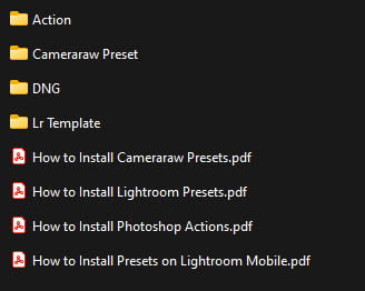 Dark Gray Lightroom Presets ชุด Presets สำหรับ Adobe Lightroom ฟรี โปรแกรม