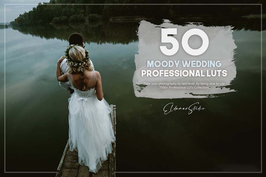 250 Professional Color Grading LUTs Bundle ชุดรวม LUTs / Presets คุณภาพสูง ฟรี โปรแกรม