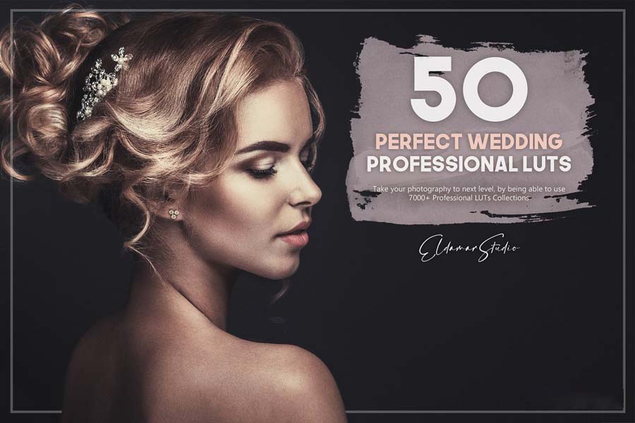 250 Professional Color Grading LUTs Bundle ชุดรวม LUTs / Presets คุณภาพสูง ฟรี โปรแกรม