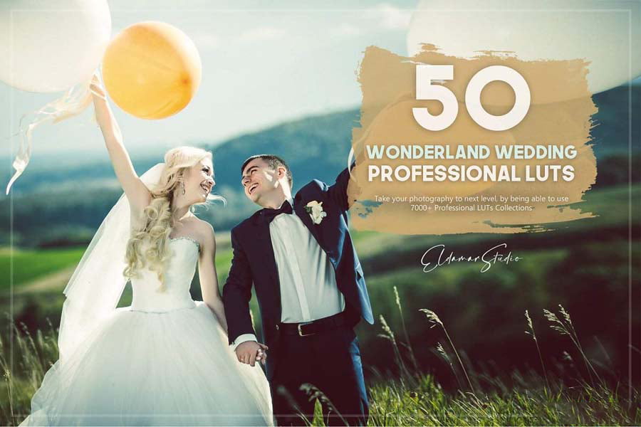 250 Professional Color Grading LUTs Bundle ชุดรวม LUTs / Presets คุณภาพสูง ฟรี โปรแกรม
