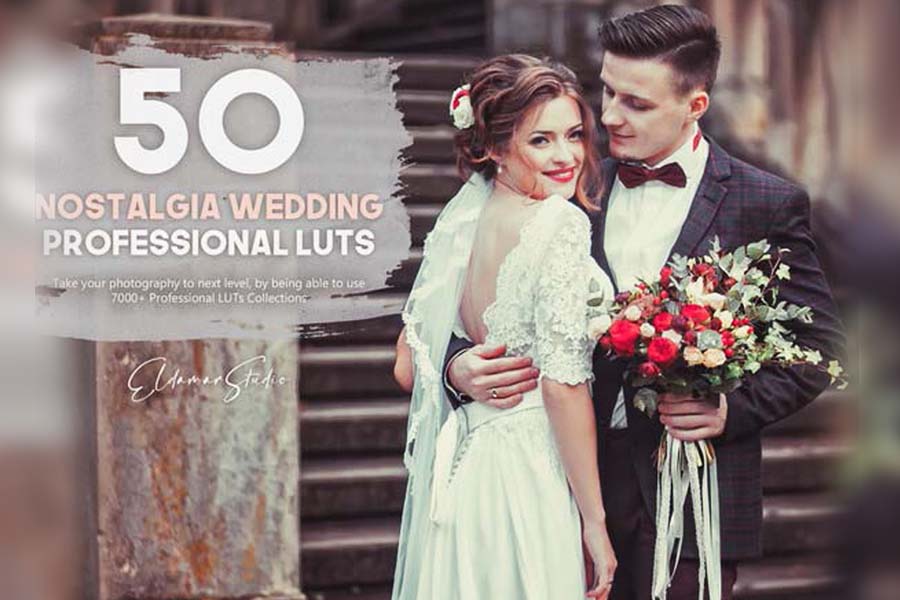 250 Professional Color Grading LUTs Bundle ชุดรวม LUTs / Presets คุณภาพสูง ฟรี โปรแกรม
