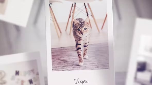 VideoHive Photo Slideshow for After Effects ฟรี
