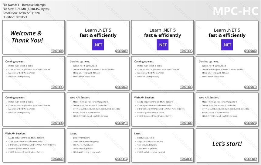 .Net 5 Web Api & Entity Framework Crash Course
