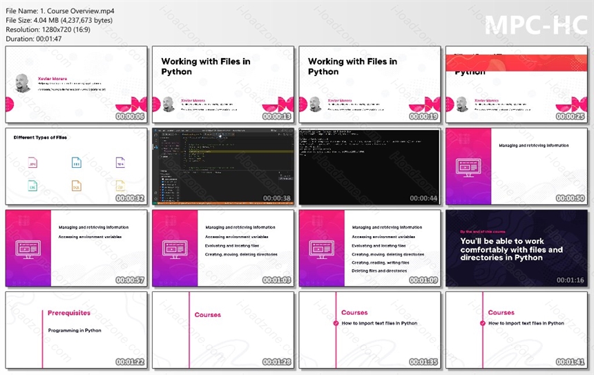 Working with Files in Python (2023)