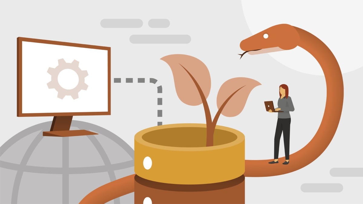Using MongoDB with Python