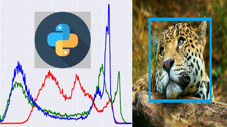 Python for Signal and Image Processing Master Class [2023]
