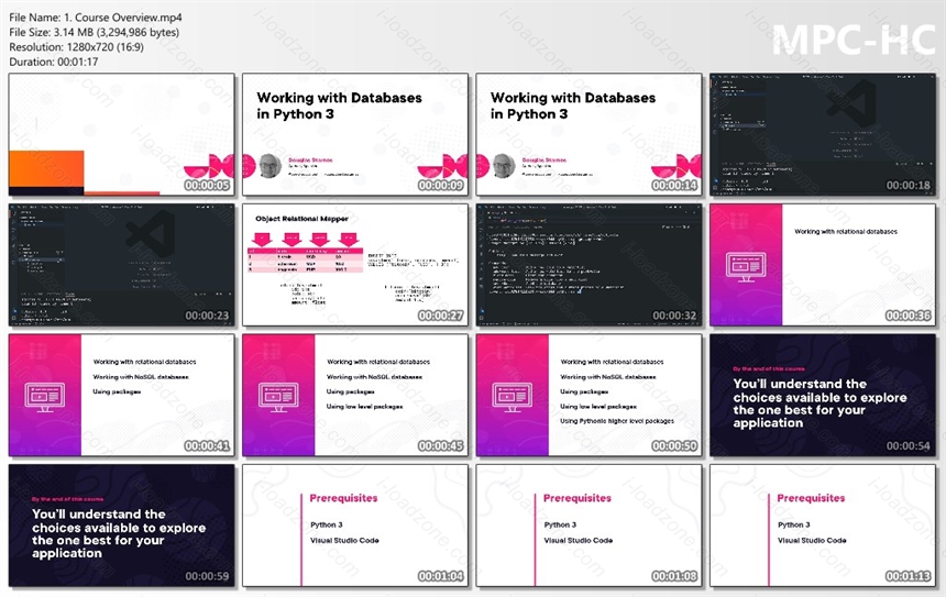 Working with Databases in Python 3 By douglas-starnes
