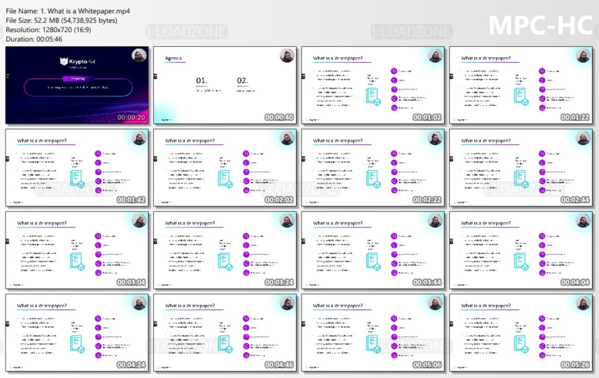 Blockchain Investment Checklist & Whitepaper Analysis