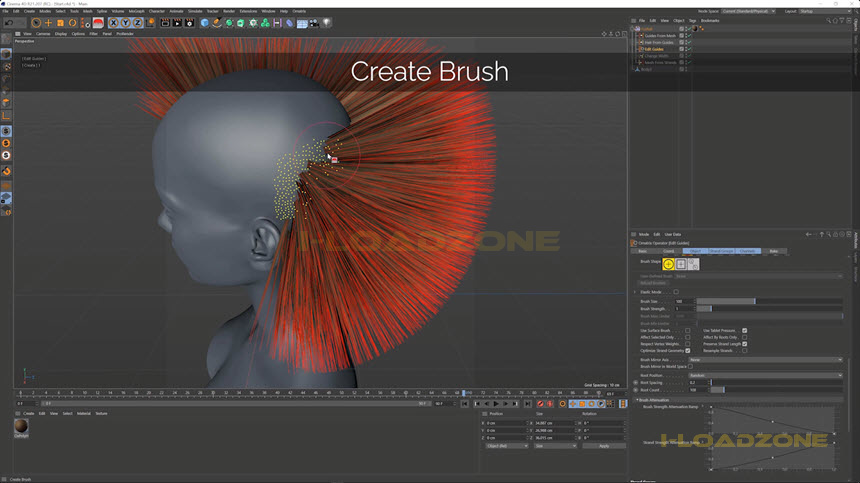 Ephere Ornatrix for Cinema 4D 2023 ล่าสุด.2 ปลั๊กอินสำหรับ Cinema 4D โปรแกรม