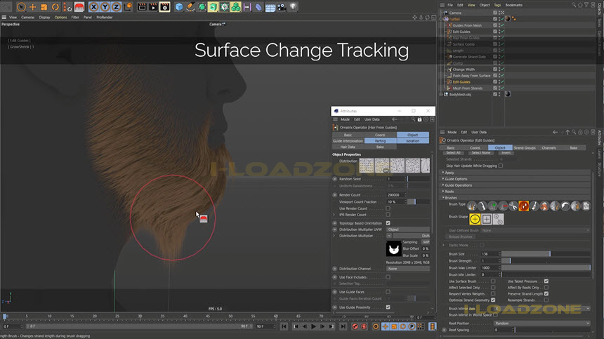 Ephere Ornatrix for Cinema 4D 2023 ล่าสุด.2 ปลั๊กอินสำหรับ Cinema 4D โปรแกรม