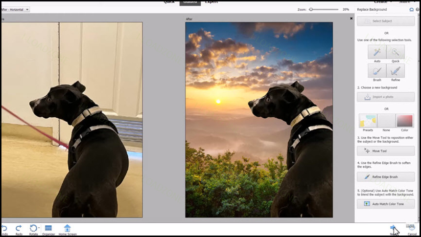Adobe Photoshop Elements 2024 ล่าสุด โปรแกรมแต่งรูป