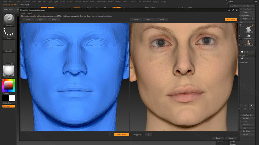 ZWrap 2023 ล่าสุด (x64) ปลั๊กอินสำหรับโปรแกรม ZBrush โปรแกรม