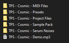 Cosmic – Slap House Sample Pack ชุด Sample Pack โปรแกรม