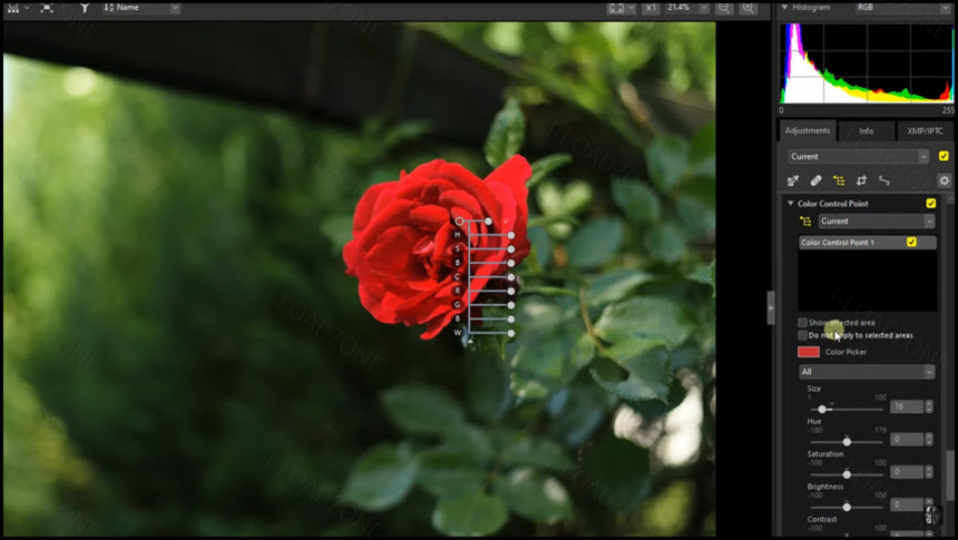 Nikon NX Studio 1 ล่าสุด โปรแกรมแต่งรูป จัดการภาพถ่าย ฟรี