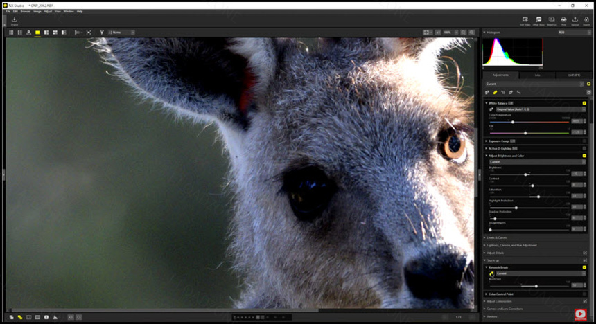 Nikon NX Studio 1 ล่าสุด โปรแกรมแต่งรูป จัดการภาพถ่าย ฟรี