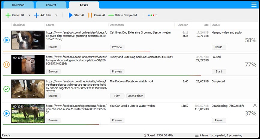Social Media Downloader 8 ล่าสุด โปรแกรมดาวน์โหลดวิดีโอ Facebook , TikTok, YouTube และอื่นๆ